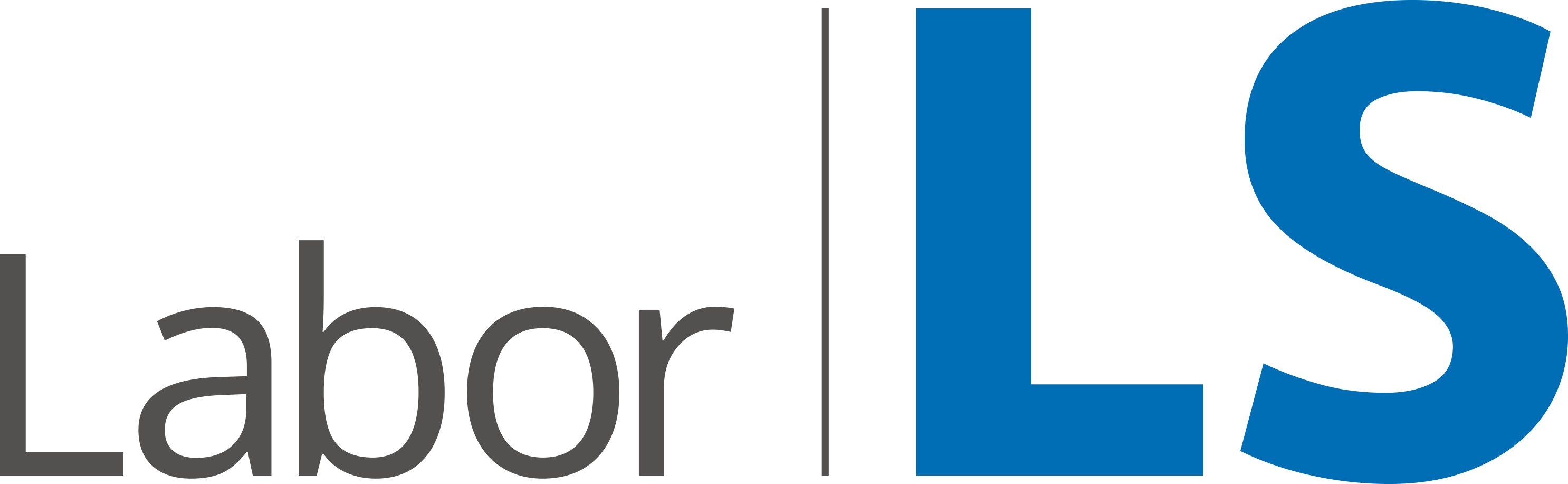 Labor LS SE & Co. KG Logo